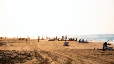 The people on the beach during the day
